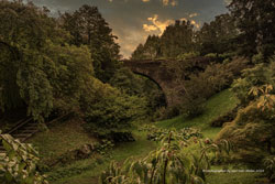 giardini botanici di villa taranto